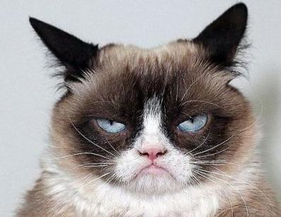 咖啡制造商侵犯不爽貓商標(biāo)權(quán)